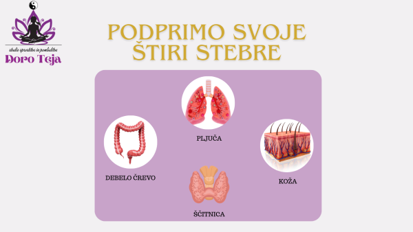 Jesenski program za celostno krepitev imunskega sistema - Image 6